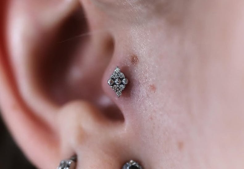 Lustre – CZ Fan – 14K Gold Threadless End - piercing - zone.com
