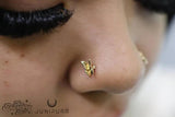 Madam Butterfly – 14K Gold Butterfly Threadless End - piercing - zone.com
