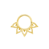 Mapira Seamless Ring – 14K Gold Cup & Divot Design - piercing - zone.com