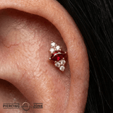 Mimosa Pin Birthstones - 14K Gold Gem Threadless End - piercing - zone.com