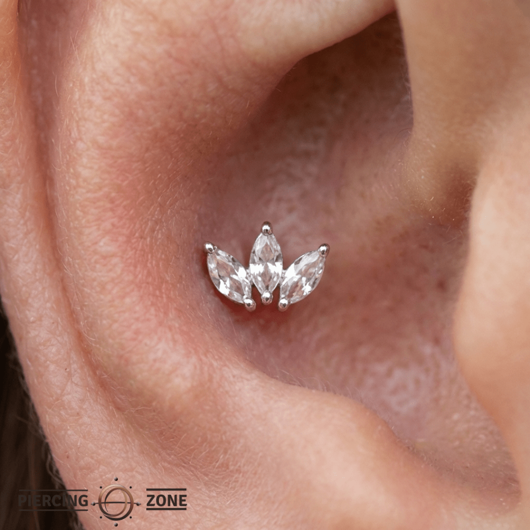 Mini Moet – 14K Gold Swarovski CZ Marquise Fan Threadless End - piercing - zone.com