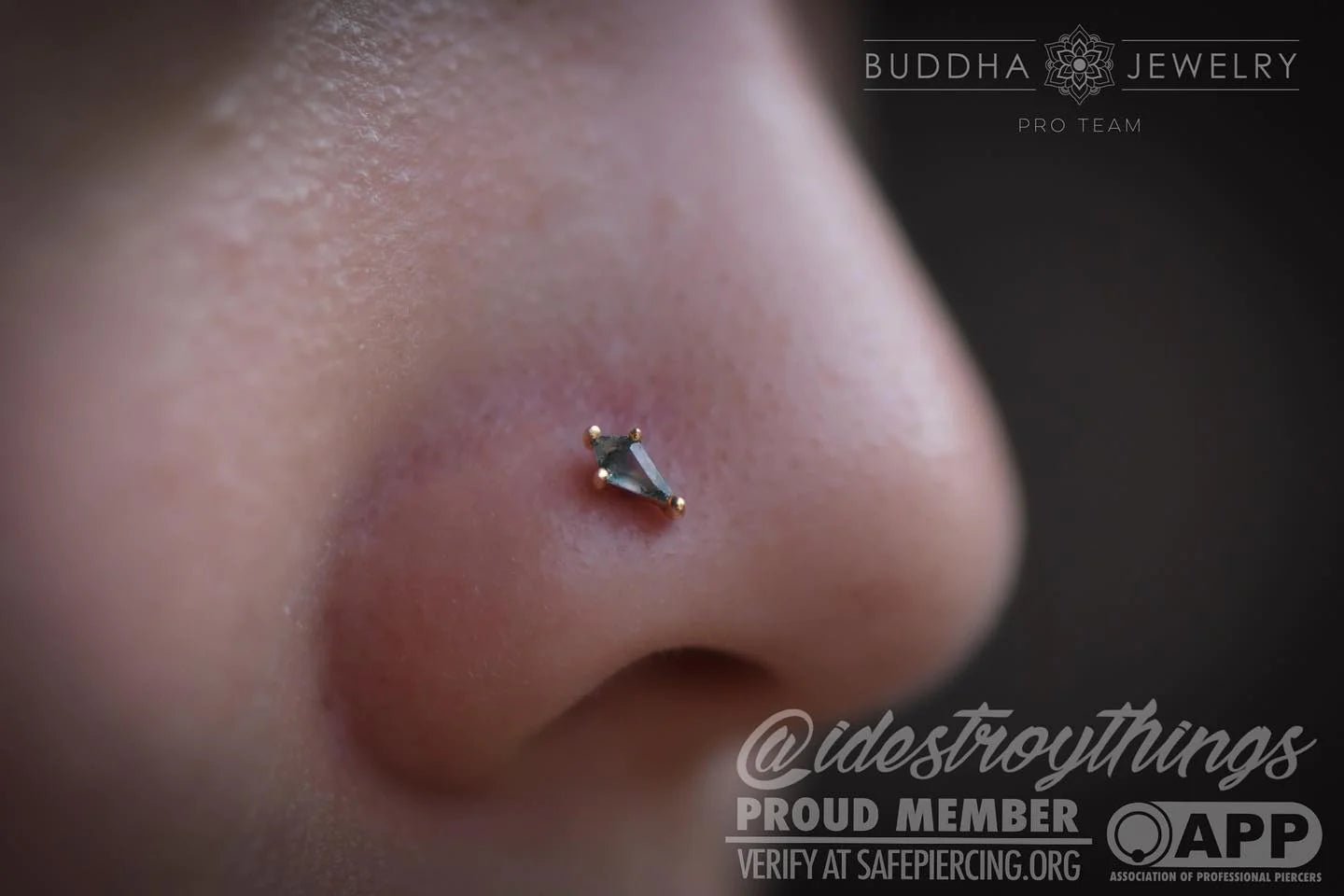 MINI SOHO - KITE CUT MOSS AGATE - THREADLESS END piercing-zone.com