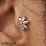 Mini Valentina – CZ Fan Cluster – 14K Gold Threadless End - piercing - zone.com