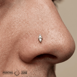 Mishka 2 – CZ Duo – 14K Gold Threadless End - piercing - zone.com