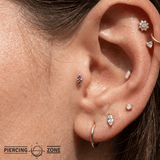Mishka 2 – Dual Amethyst – 14K Gold Threadless End - piercing - zone.com