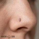 Mishka 2 – Dual Amethyst – 14K Gold Threadless End - piercing - zone.com