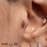 Mishka 2 – Dual Amethyst – 14K Gold Threadless End - piercing - zone.com