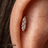 Mishka 3 – CZ Trio – 14K Gold Threadless End - piercing - zone.com