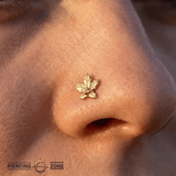 Misseldine – 14K Gold Threadless/Threaded End - piercing - zone.com