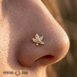 Misseldine – 14K Gold Threadless/Threaded End - piercing - zone.com