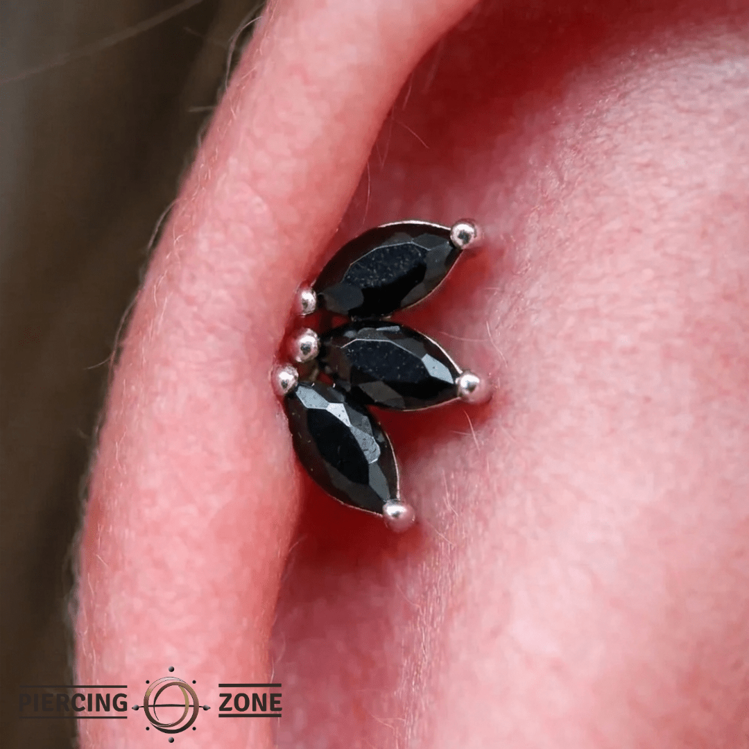 Moet – Black Spinel Marquise Fan – 14K Gold Threadless End - piercing - zone.com