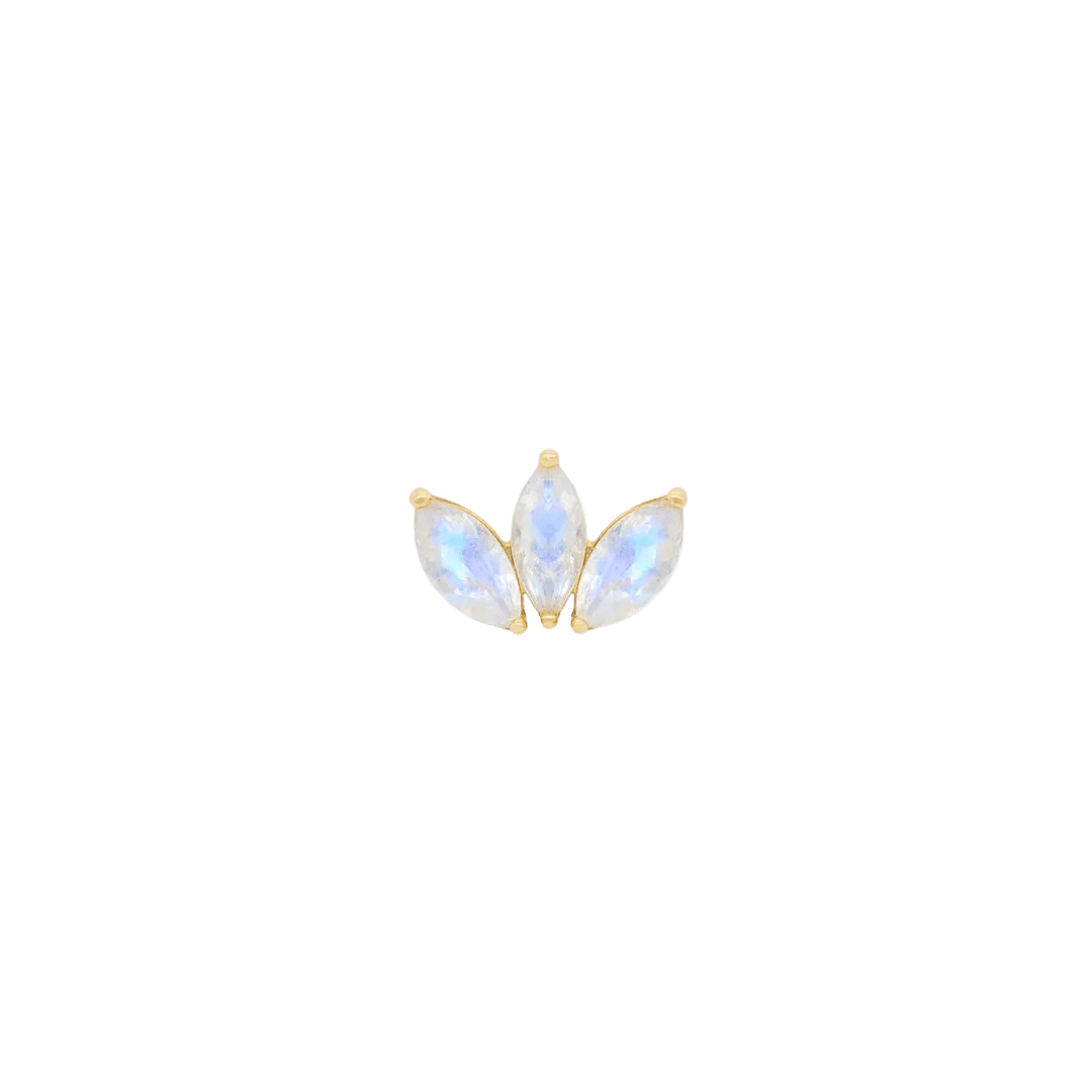 Moet Mini Threadless End with Rainbow Moonstone - 14K Gold Gem End - piercing - zone.com