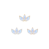 Moet Mini Threadless End with Rainbow Moonstone - 14K Gold Gem End - piercing - zone.com
