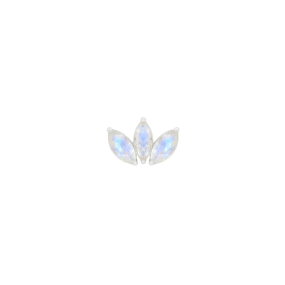 Moet Mini Threadless End with Rainbow Moonstone - 14K Gold Gem End - piercing - zone.com