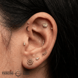 Monarch - 14K Gold Threadless/Threaded - piercing - zone.com
