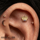 Monarch - 14K Gold Threadless/Threaded - piercing - zone.com