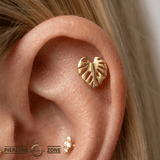 Monstera – 14K Gold Tropical Leaf Threadless Pin - piercing - zone.com