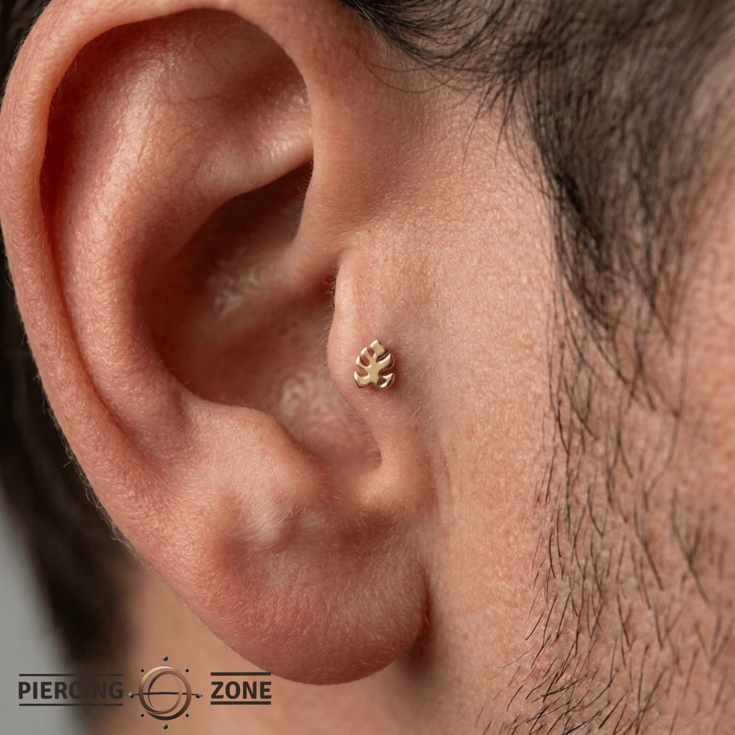 Monstera End - 18K Gold Threadless/Threaded End - piercing - zone.com