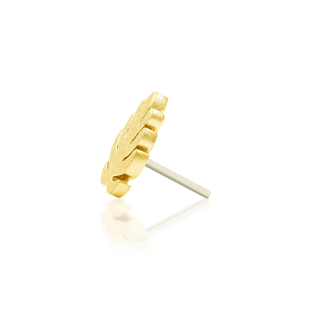 Monstera – Textured Matte Leaf – 14K Gold Threadless End - piercing - zone.com