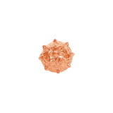 Morning Star – 14K Gold Threadless End - piercing - zone.com
