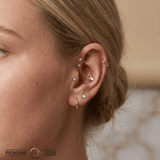 Moth – 14K Gold Threadless End - piercing - zone.com