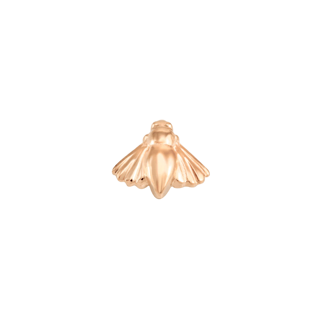 Moth – 14K Gold Threadless End - piercing - zone.com