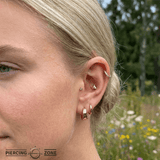 Moth – 14K Gold Threadless End - piercing - zone.com