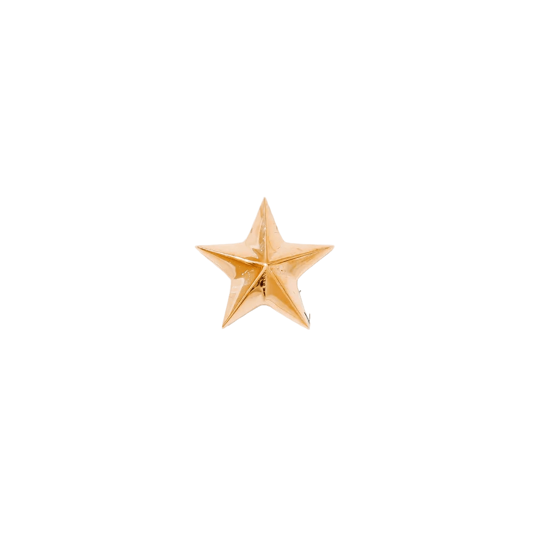 Nautical Star Pin - 14K Gold Star Threadless End - piercing - zone.com