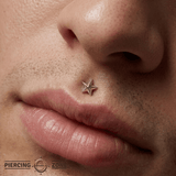 Nautical Star Pin - 14K Gold Star Threadless End - piercing - zone.com