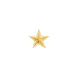 Nautical Star Pin - 14K Gold Star Threadless End - piercing - zone.com
