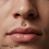 Nautical Star Pin - 14K Gold Star Threadless End - piercing - zone.com