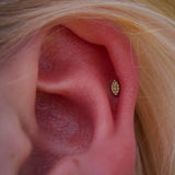 Goldblooded – 14K Gold Threadless End