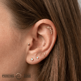 Neptune Pin - 14K Gold Threadless End - piercing - zone.com