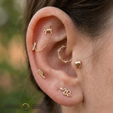 Northmen Crown Clicker – 14K & 18K Gold - piercing - zone.com