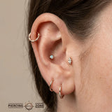 Northmen Crown Seamless Ring – 14K Gold Cup & Divot Design - piercing - zone.com