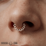 Obsessed – CZ Clicker Ring – 14K Gold - piercing - zone.com