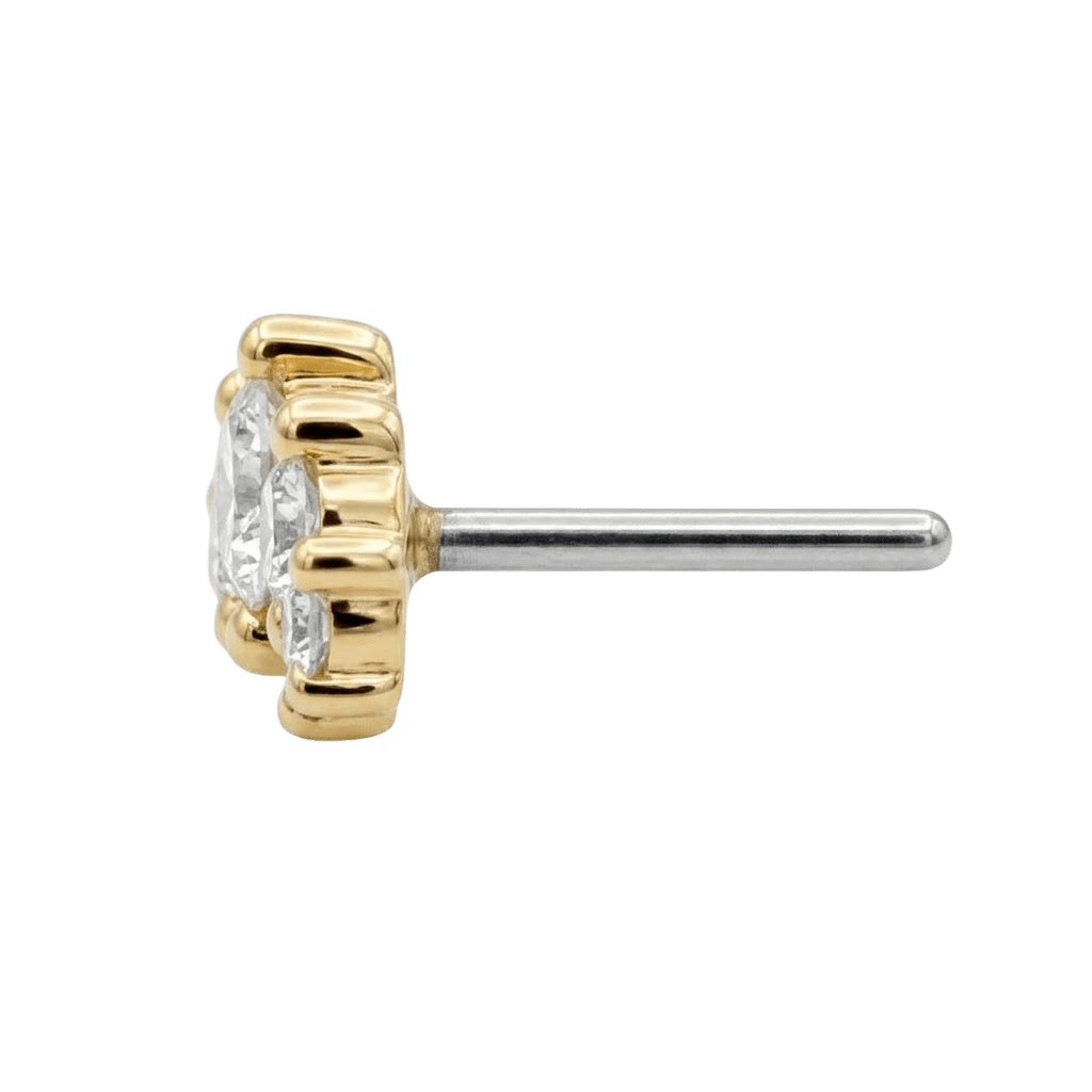 Odyssey Prium Gem - 18K Yellow Gold Threadless/Threaded End - piercing - zone.com