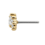 Odyssey Prium Gem - 18K Yellow Gold Threadless/Threaded End - piercing - zone.com
