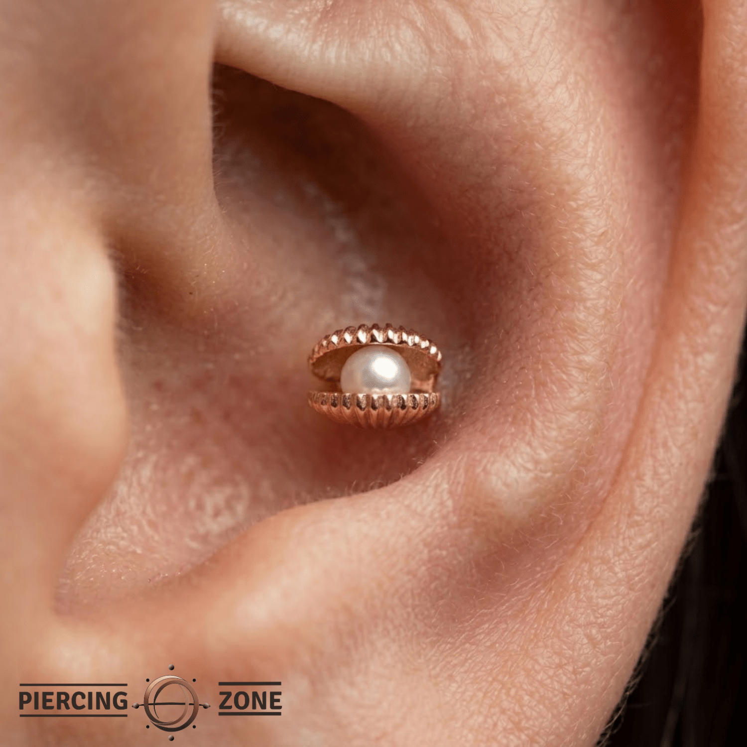 Open Shell Pearl – 14K Gold Threadless/Threaded End - piercing - zone.com
