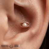 Open Shell Pearl – 14K Gold Threadless/Threaded End - piercing - zone.com