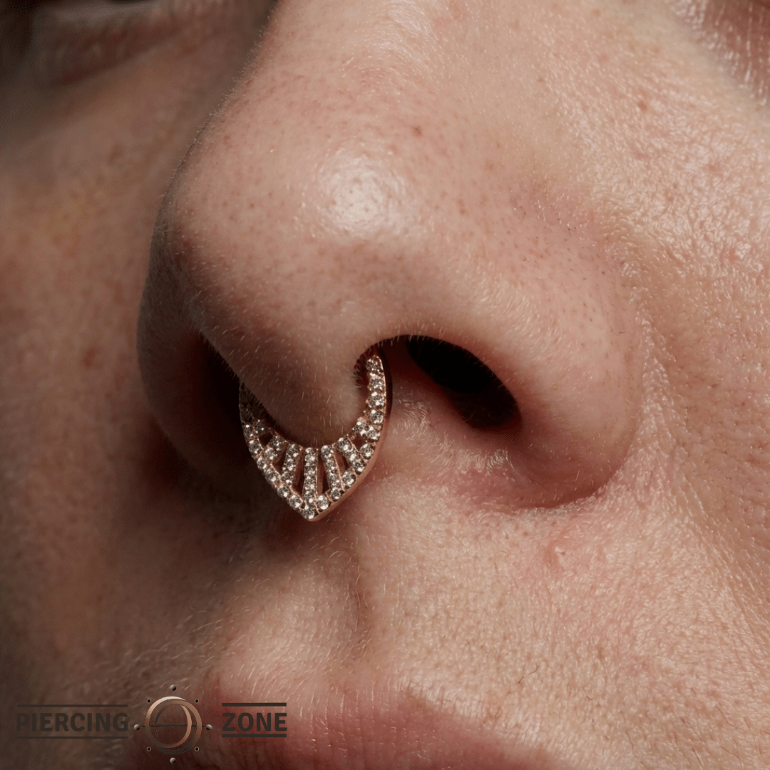 Origin Story – CZ Pavé Clicker – 14K Gold Hinged Ring - piercing - zone.com