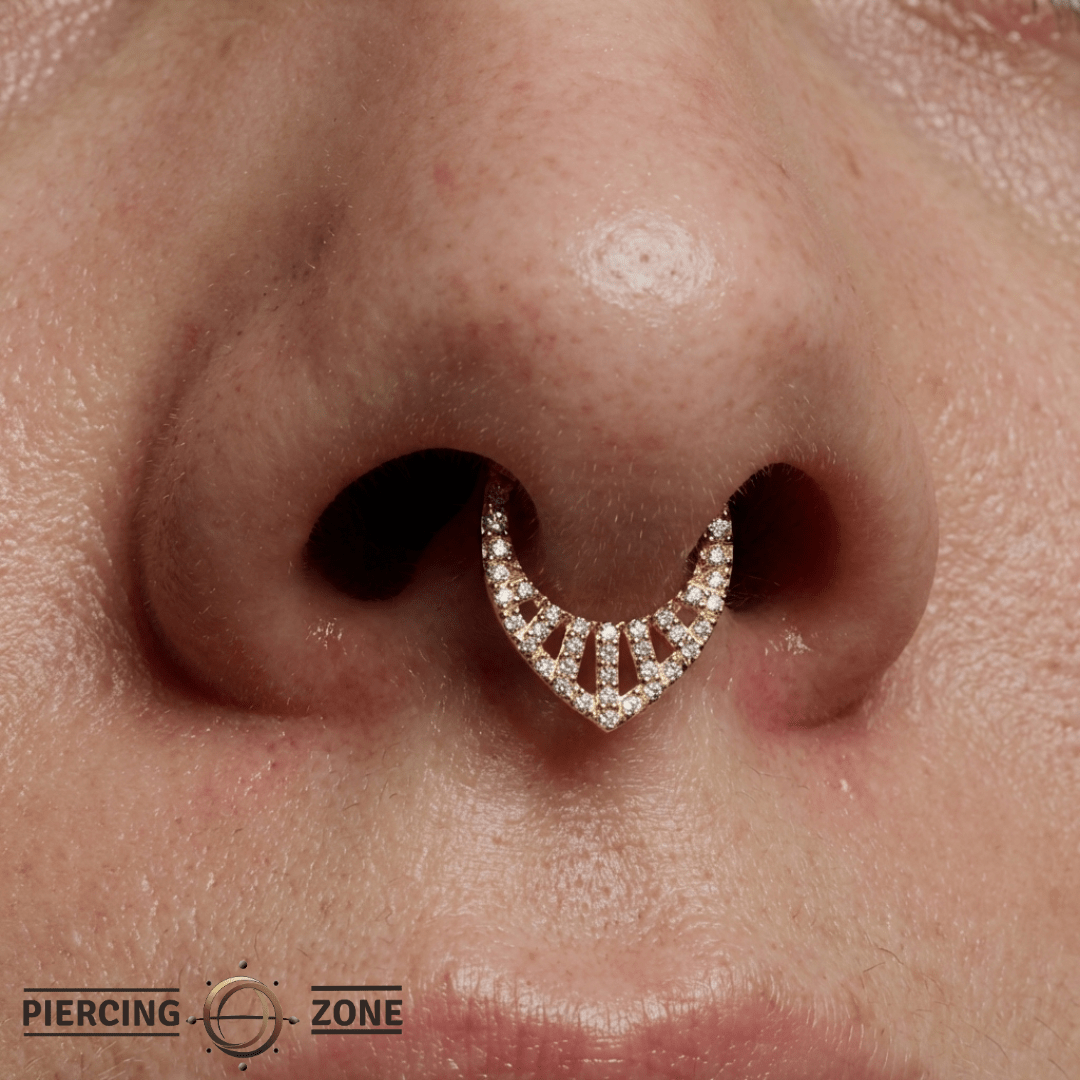Origin Story – CZ Pavé Clicker – 14K Gold Hinged Ring - piercing - zone.com