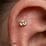 Owl – 14K Gold Threadless/Threaded End - piercing - zone.com