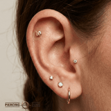 Owl – 14K Gold Threadless/Threaded End - piercing - zone.com