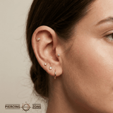 Owl – 14K Gold Threadless/Threaded End - piercing - zone.com