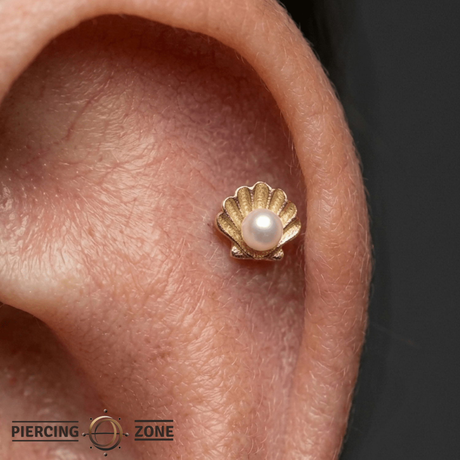 Oyster Pearl – 14K Gold Threadless/Threaded End - piercing - zone.com