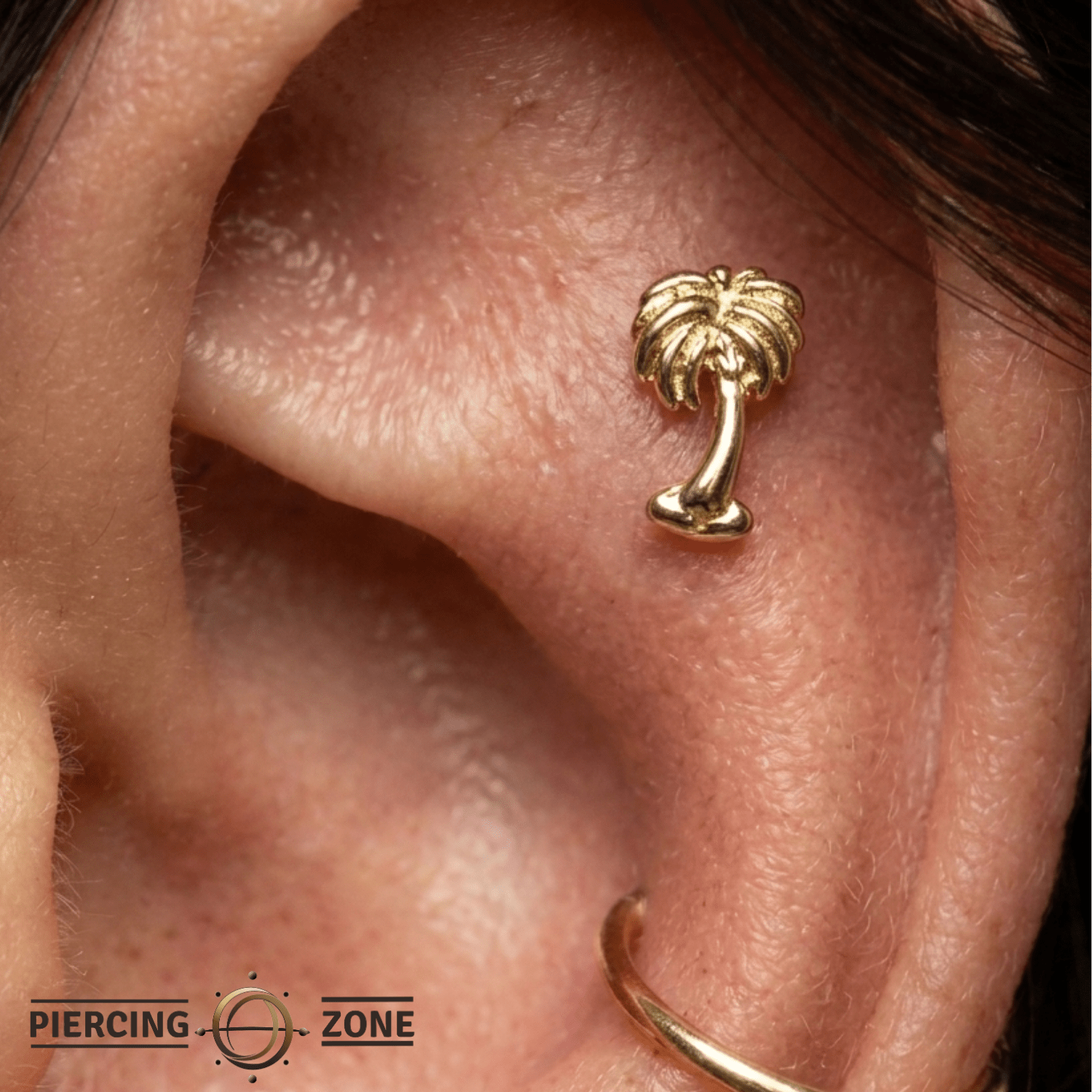 Palm Tree - 14K Gold Threadless/Threaded End - piercing - zone.com