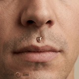 Panther – 14K Gold Threadless/Threaded End - piercing - zone.com