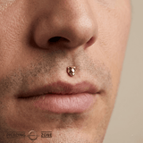 Panther – 14K Gold Threadless/Threaded End - piercing - zone.com