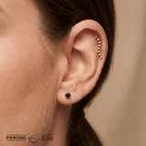 Path With Gems Zebra – 14K Gold Threadless/Threaded End - piercing - zone.com